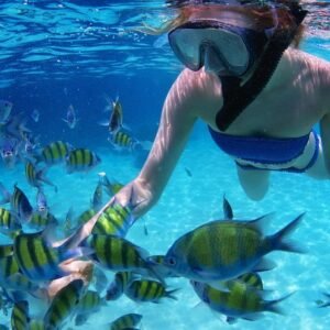 Fujairah overnight tour with Snorkeling from Dubai
