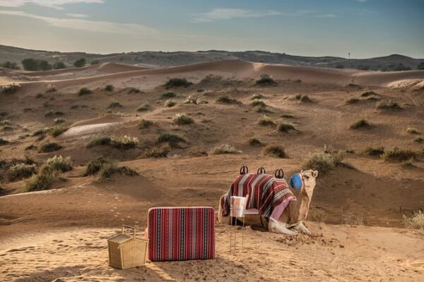 Sharjah, Umm Al Quwain and RAK overnight tour from Dubai