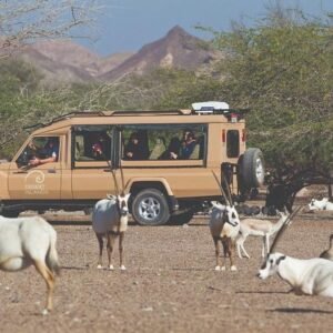 Sir Bani Yas Island with Abu Dhabi overnight tour from Dubai