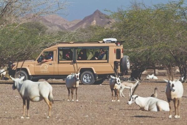 Sir Bani Yas Island with Abu Dhabi overnight tour from Dubai