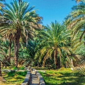 Al Ain Day Trip from Dubai
